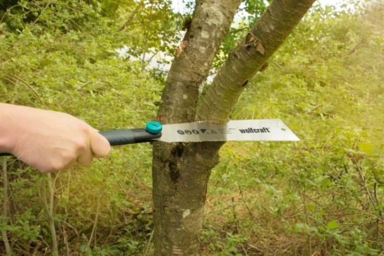 10722