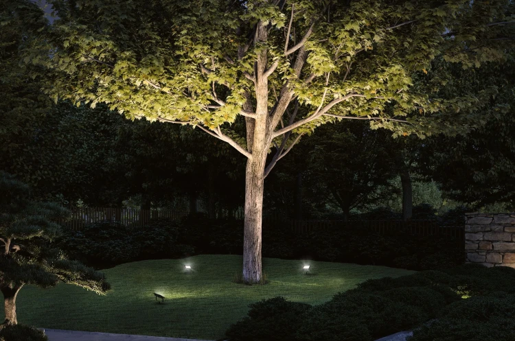 16317