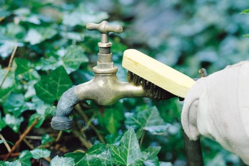 1b256178b1de361f9ae79f9149731c49