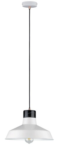 9778