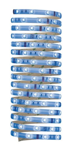 10055